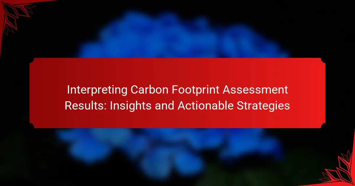 Interpreting Carbon Footprint Assessment Results: Insights and Actionable Strategies