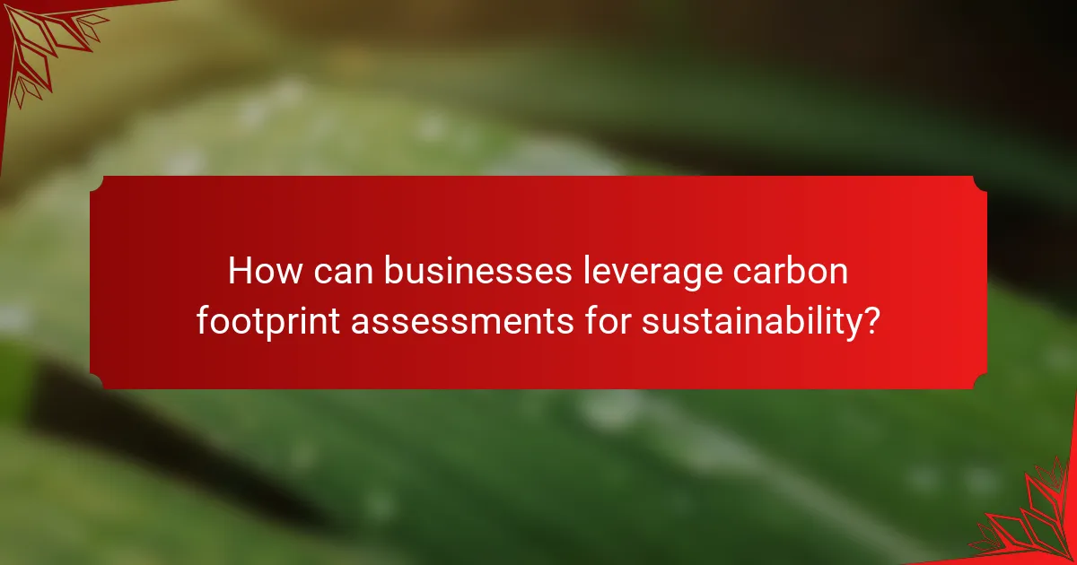 How can businesses leverage carbon footprint assessments for sustainability?