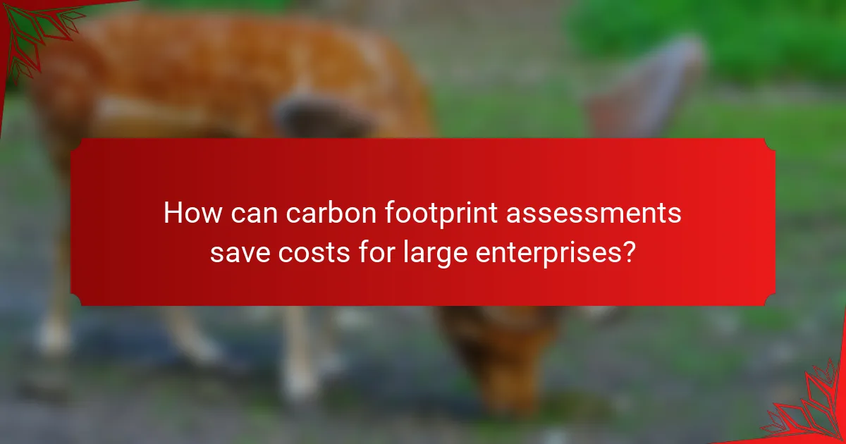 How can carbon footprint assessments save costs for large enterprises?