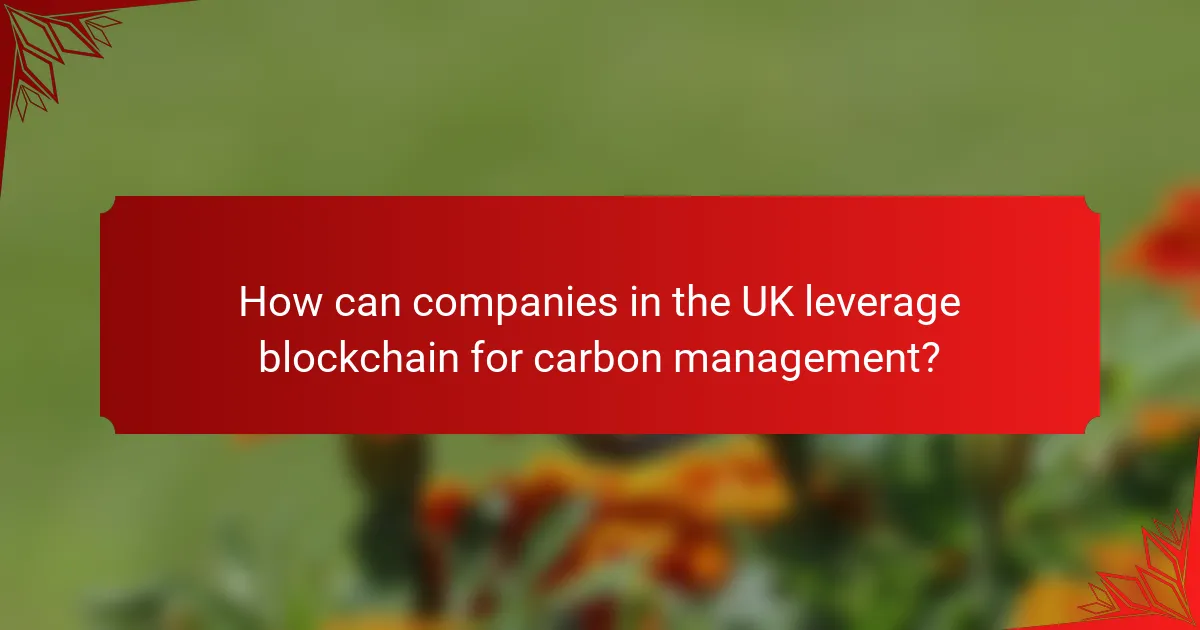 How can companies in the UK leverage blockchain for carbon management?