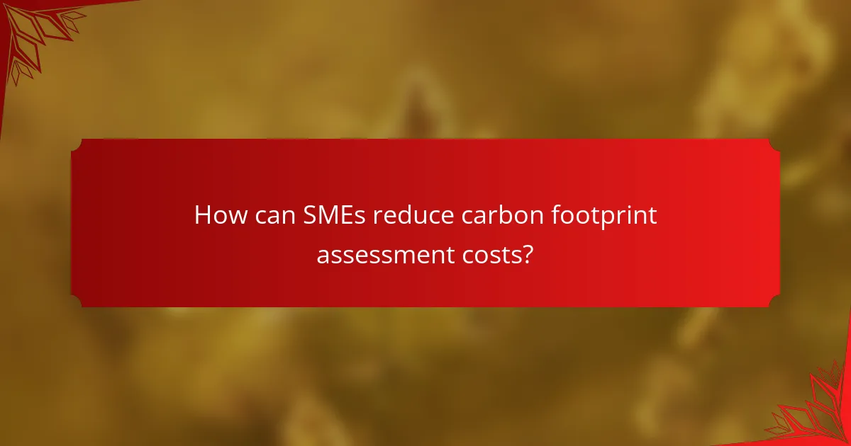 How can SMEs reduce carbon footprint assessment costs?