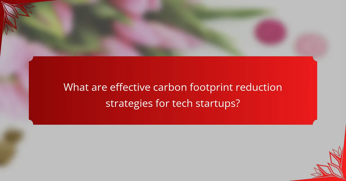 What are effective carbon footprint reduction strategies for tech startups?