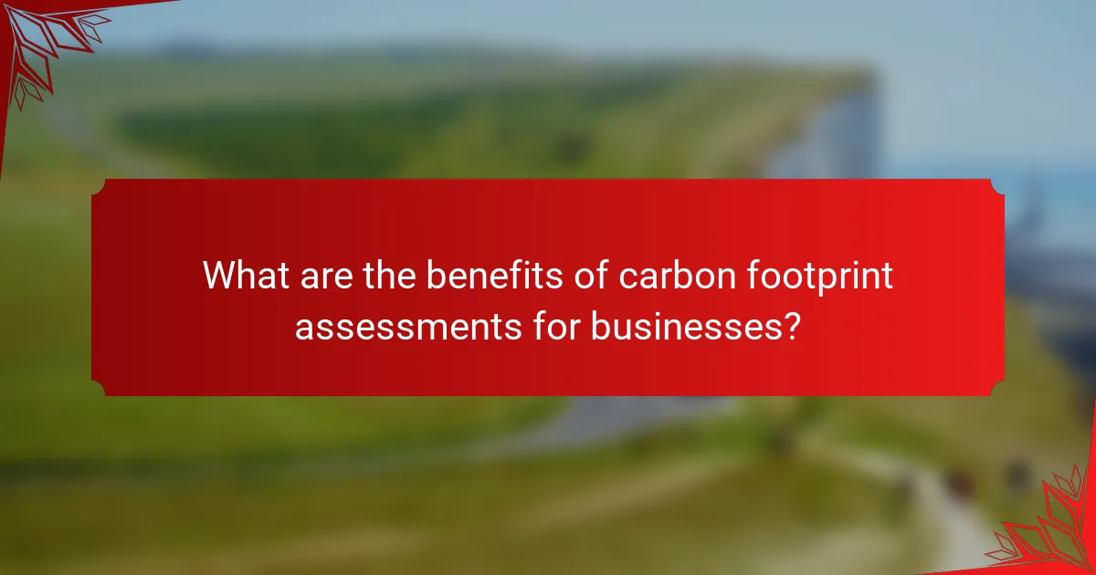 What are the benefits of carbon footprint assessments for businesses?