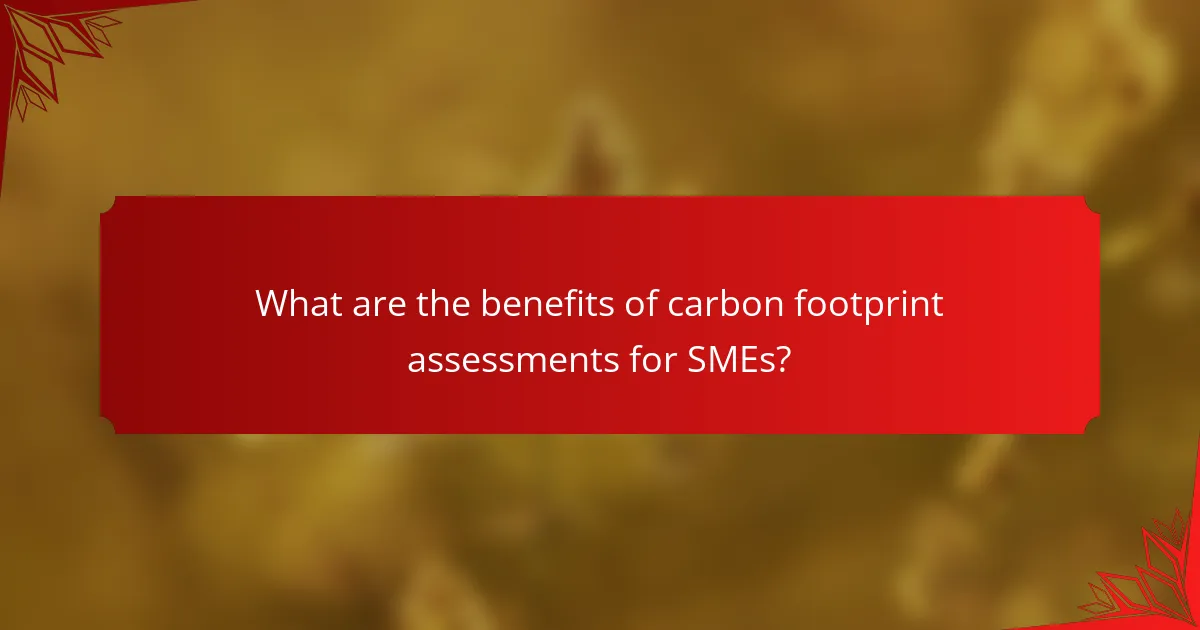 What are the benefits of carbon footprint assessments for SMEs?