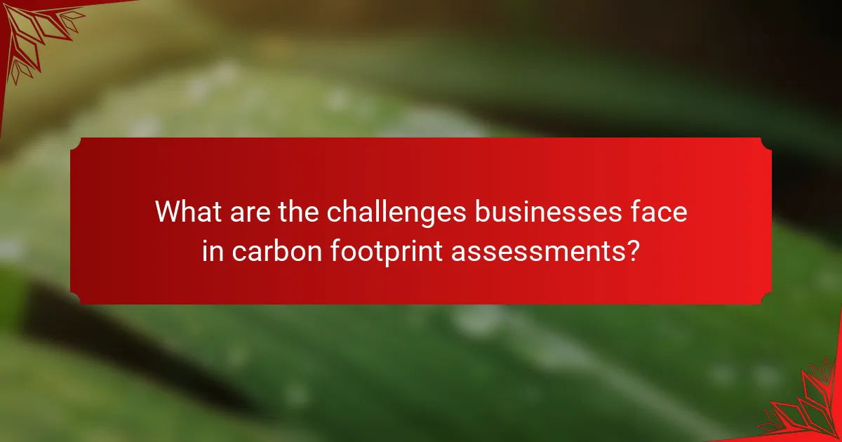 What are the challenges businesses face in carbon footprint assessments?