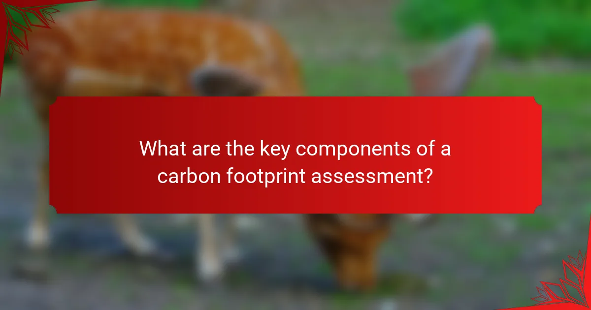 What are the key components of a carbon footprint assessment?