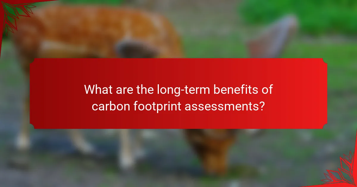 What are the long-term benefits of carbon footprint assessments?